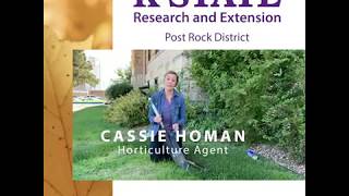 Fall Garden Tool Care with K-State Research and Extension Horticulture Agent Cassie Homan