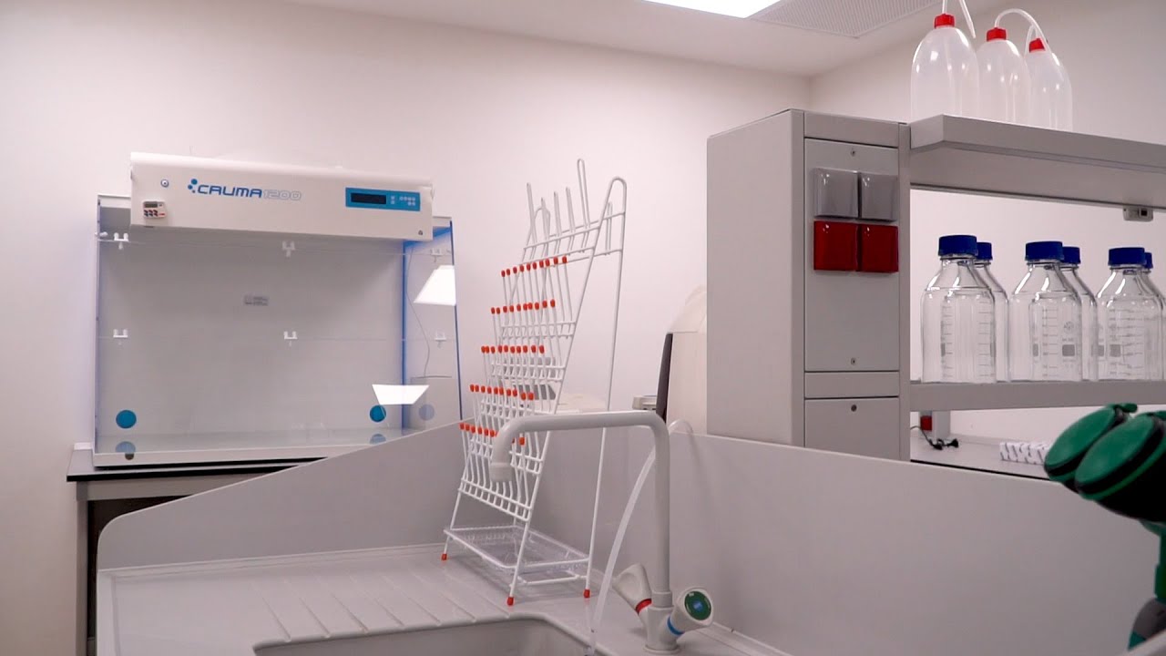 Building Calconut: week 5 (laboratory) - YouTube