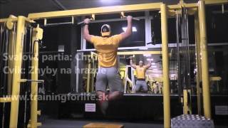 Chrbat - Zhyby na hrazde