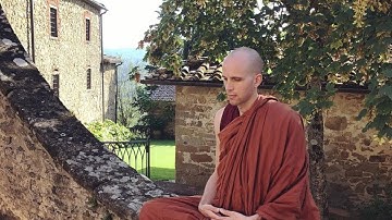 Karma and Rebirth: What Gets Reborn? with Bhante Suddhaso