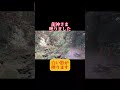 龍鎮神社 #Shorts