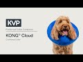 KVP KONG® Cloud™ | KVP Preferred E-Collars Collection