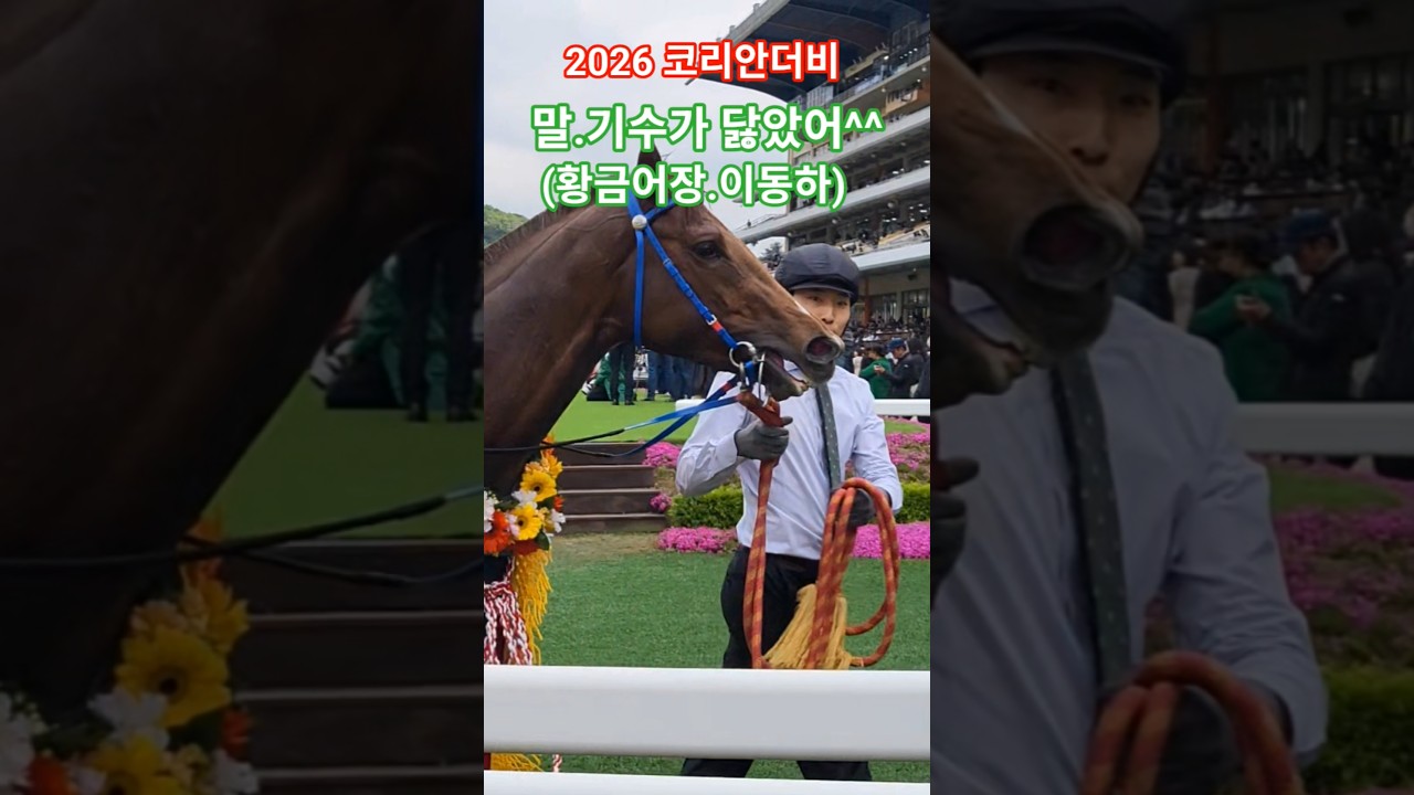 말도 좋아해^^#경마 #말 #달려라말 #shorts #대상경주