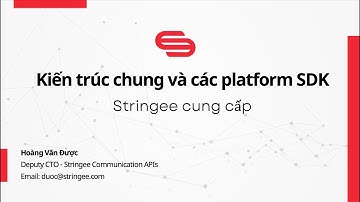 Kiến trúc chung, Các platform SDK Stringee, và Demo Stringee Call API