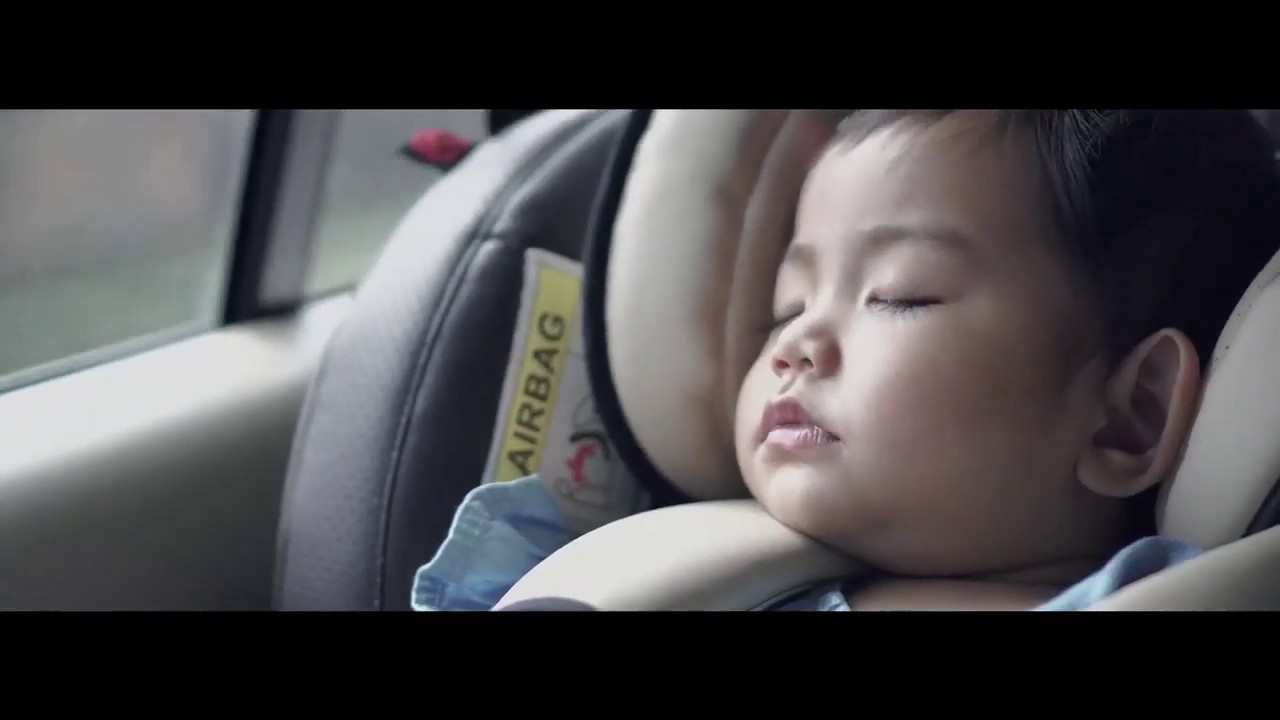 B1, B2, C1 : Le vocabulaire écologique