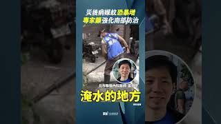災後病媒蚊恐暴增 專家籲強化南部防治