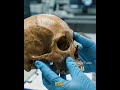 The Red Deer Cave People #RedDeerCavePeople #AncientHumans