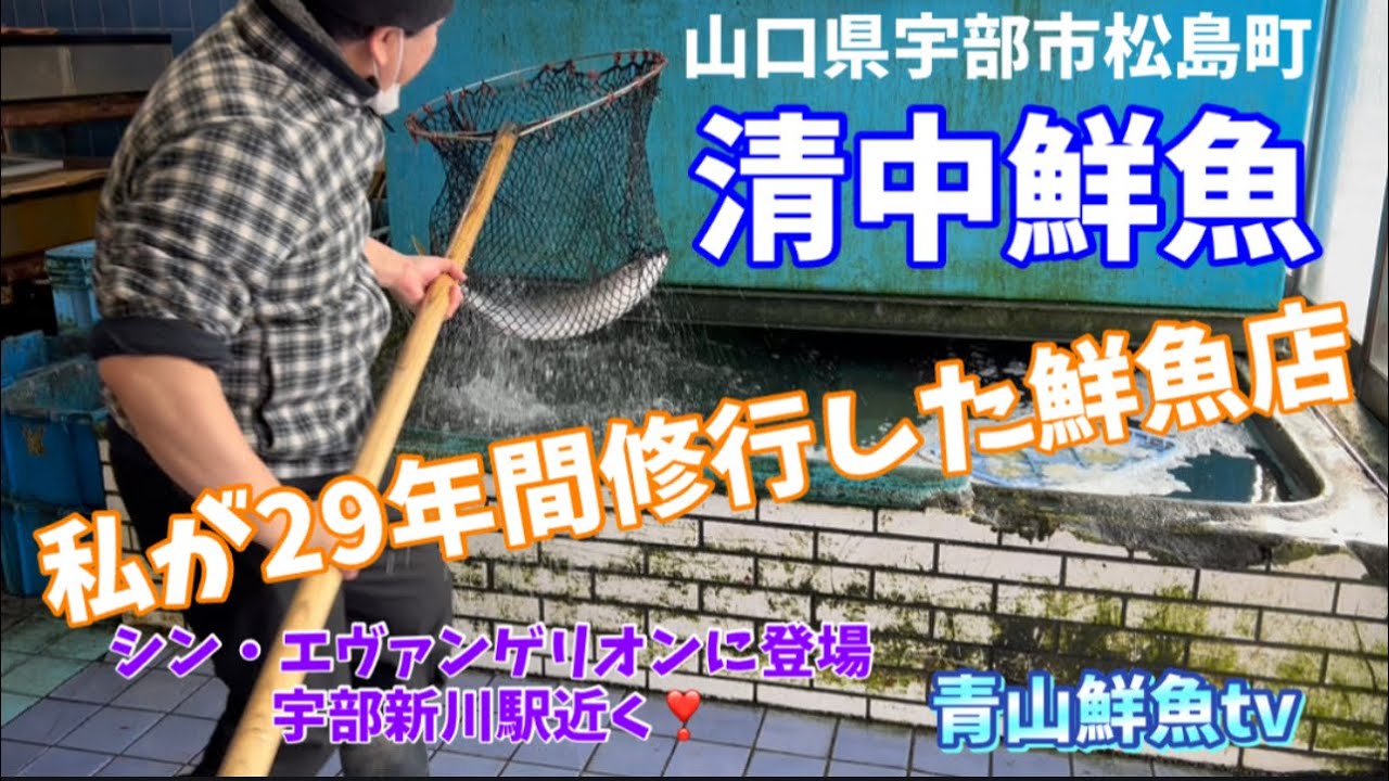 【修行時代の古巣🐟】【29年間働かせて頂きました】清中鮮魚店にお邪魔します👍🐟