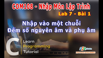 #COM108 | Lab 7 Bài 1 - Nhập vào một chuỗi, đếm số nguyên âm, phụ âm
