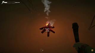 The Long Dark: Erm, my torch?