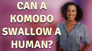 Can a Komodo swallow a human?