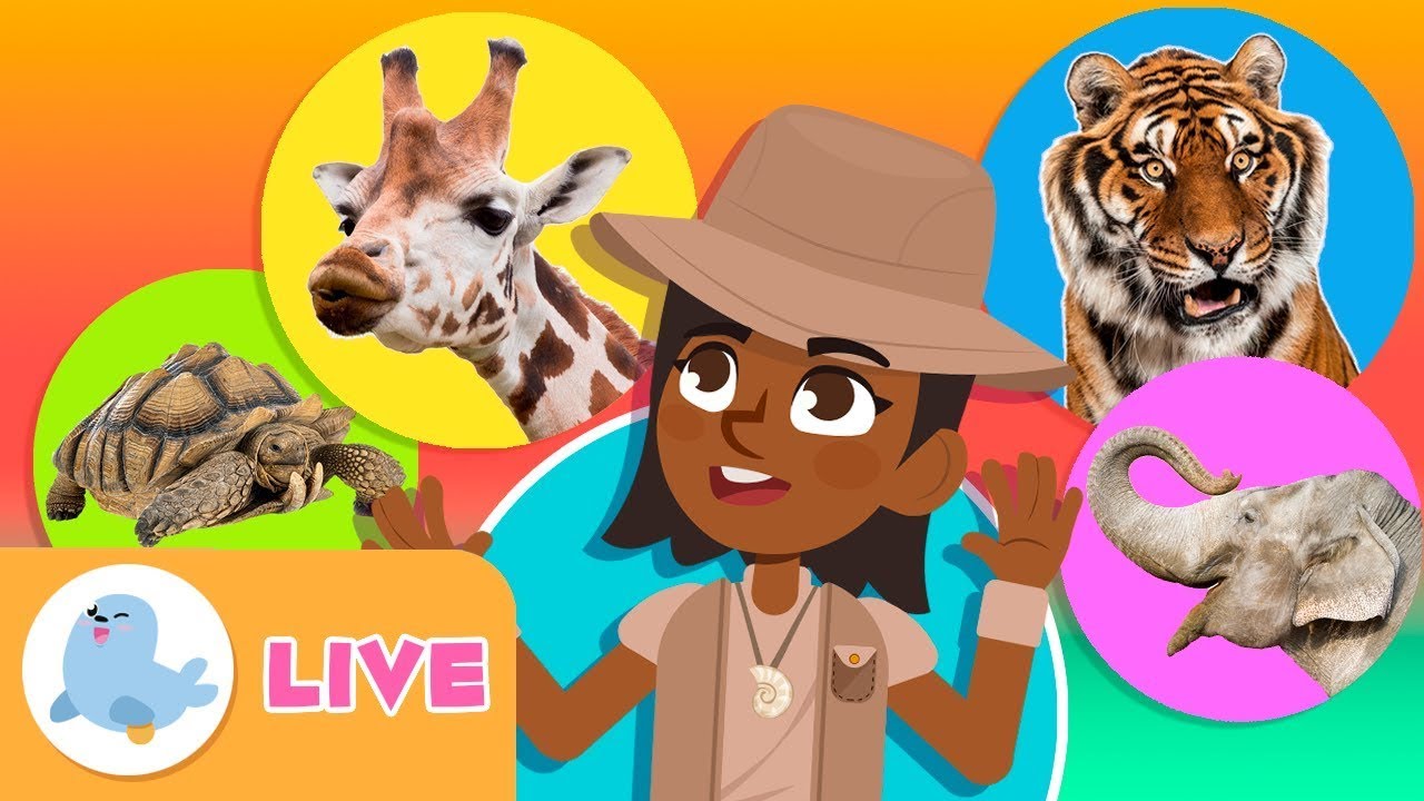 🔴 LIVE 🐬🐘 ANIMALS 🦓🐯 Animals for Kids