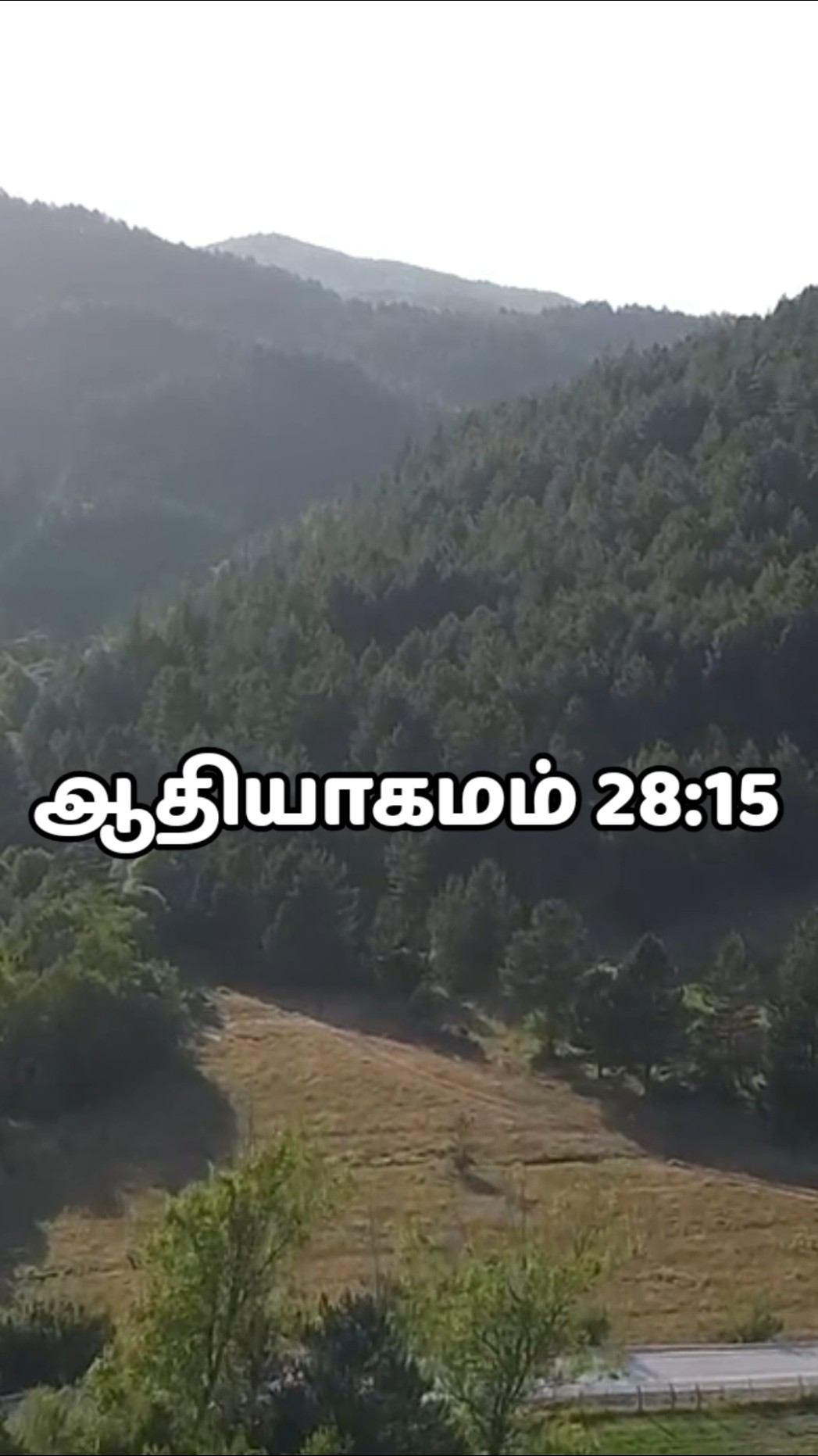 ✝️இயேசுவே ஜீவன் - ShareChat