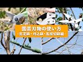 園芸刃物の使い方―剪定鋏・刈込鋏・高枝切鋏編ー/ How to/ DCMチャネル