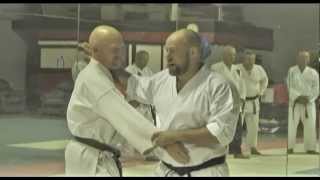 Iain Abernethy - Karate Bunkai - Interview Seminar Slater Australia screenshot 2