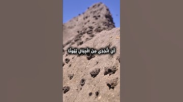 ﴿ وَأَوْحَىٰ رَبُّكَ إِلَى النَّحْلِ﴾[ الآية: 68] سورة النحل