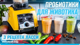 видео: Ласси — индийские рецепты в мощном блендере RAWMID SAMURAI! картинка: Ласси — индийские рецепты в мощном блендере RAWMID SAMURAI!