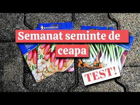 Video: Când să semănați semințele de clarkia uk?