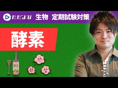 【中古】蛋白質・酵素の基礎実験法 蛋白質・酵素の基礎実験法 改訂第2版 | 堀尾 武一 |本 | 通販 | Amazon