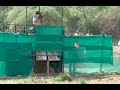 Pm modi releases cheetahs brought from namibia in kuno national park mp ebnwstory