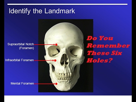 The Mandela Effect(Do You Remember The Human Skull With All These Holes