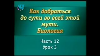 Биология для чайников. Урок 3. Строение организма - корпуса и каркасы