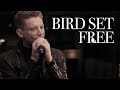 Aidan martin  bird set free  sia  cover