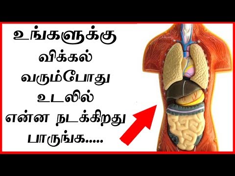 விக்கல் வரும்போது உடலில் என்ன நடக்கிறது/ Causes of Hiccups & How to Stop Hiccup tamil | vikkal nirka