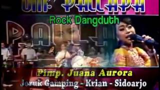 NEW PALLAPA (Voc. TASYA ROSMALA ) Musibah
