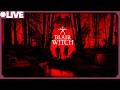 【 VTUBER 】Metro keeps crashing soooo [ Blair Witch ]