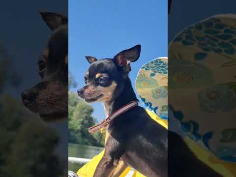 Байдарочное приключение