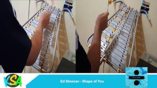 Video thumbnail of "Ed Sheeran - Shape of You (Lira Cover)"