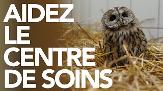 La vie du Centre de Soins pour la Faune Sauvage