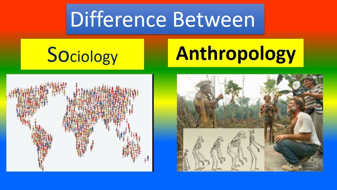 Difference Between Sociology and Anthropology - YouTube