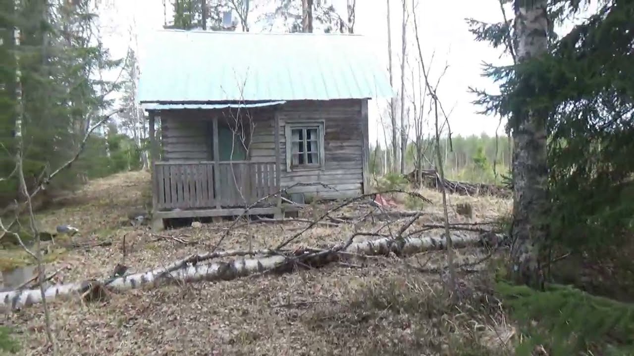 Mökki metsän siimeksessä