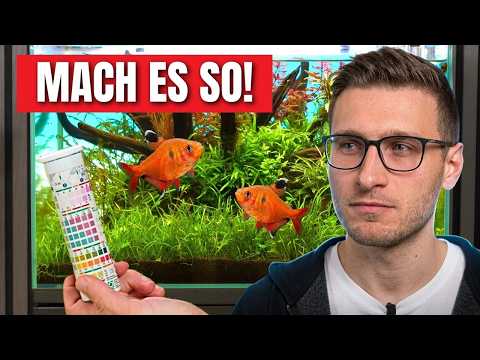 Why beautiful aquariums are no accident!
