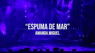 Versión 1 del video