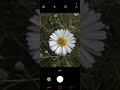 شرح التقاط الصور 8