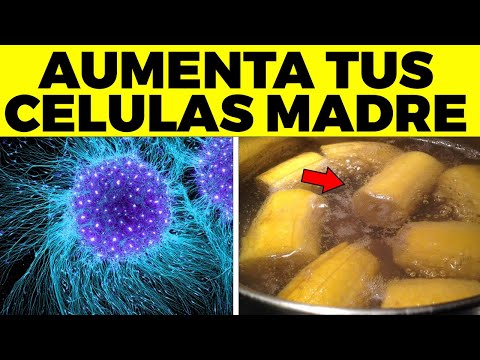 La Guía de las Vitaminas