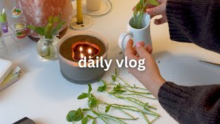 days in my life 🌸: eating pizza, hobbies, drawing on ipad pro, new flower pots | chill vlog