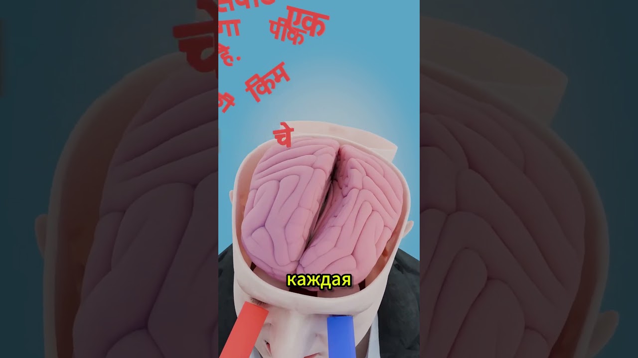 Он мог прочитать две страницы одновременно 😮 #shortsvideo