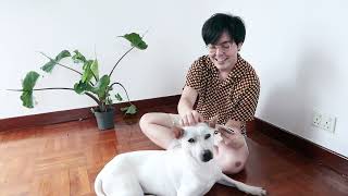 Download Lagu 洪因 Ken Hung - 代你牽掛 Care for You (Lyric Video) MP3