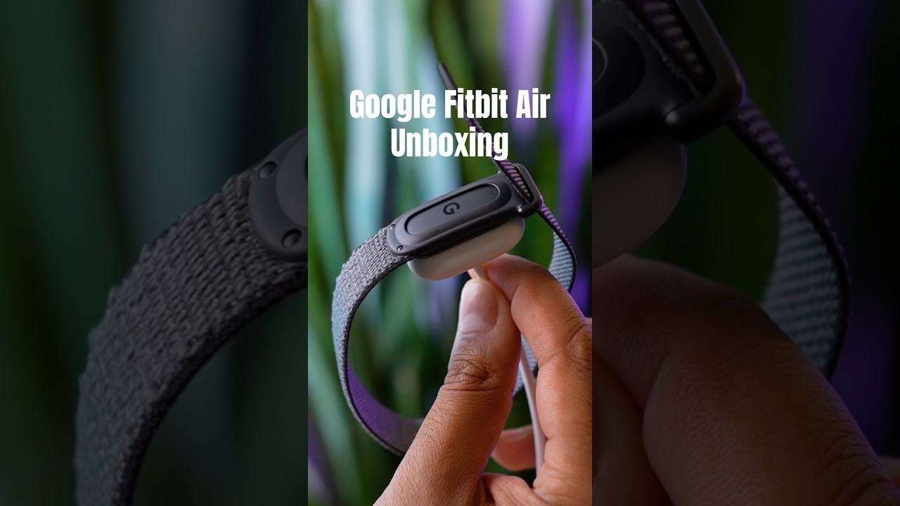 Google Fitbit Air