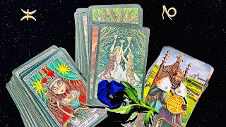 Lato ☀️ Znaki Zodiaku🍀 SABATY u BEATY 🧚‍♂️🔥 #tarot #beataherbata #czytanietarota #znakizodiaku