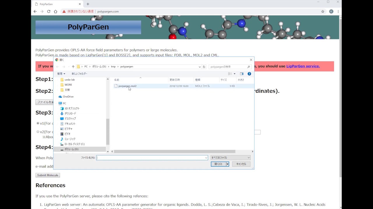 [polypargen] Usage of PolyParGen - YouTube
