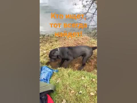 Кто ищет тот всегда найдет - YouTube