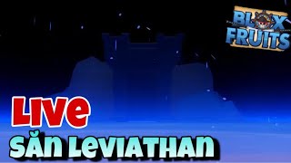 BLOX FRUIT - SĂN LEVIATHAN NÀO MN