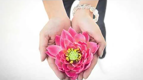 Like a Lotus Flower - DayDayNews
