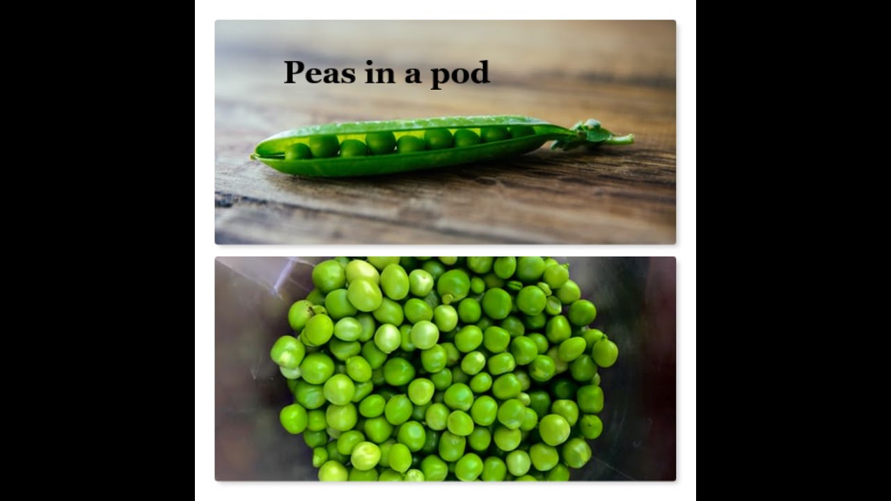 Idiom you need to know-2 peas in a pod