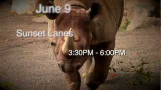 Bowling for Rhinos 2012